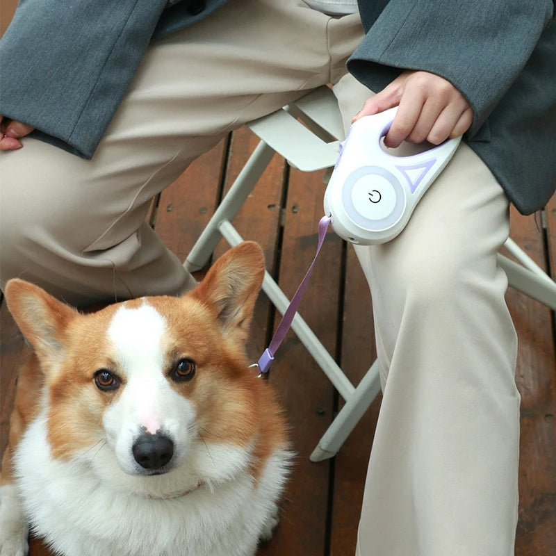 Automatic Retractable Pet Leash - LED+