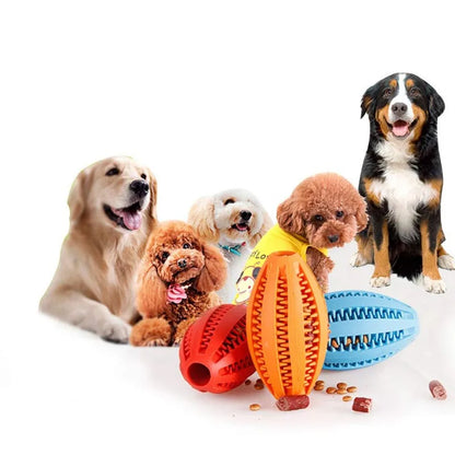 Dogs & Puppy Chewing Toy