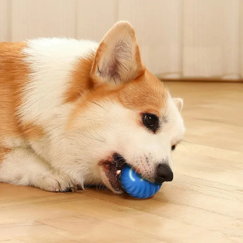 Automatic Self Rolling Ball