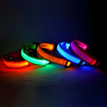 Luminous dog collar with LED light