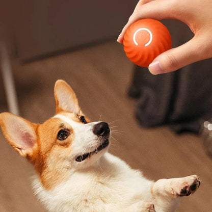 Automatic Self Rolling Ball