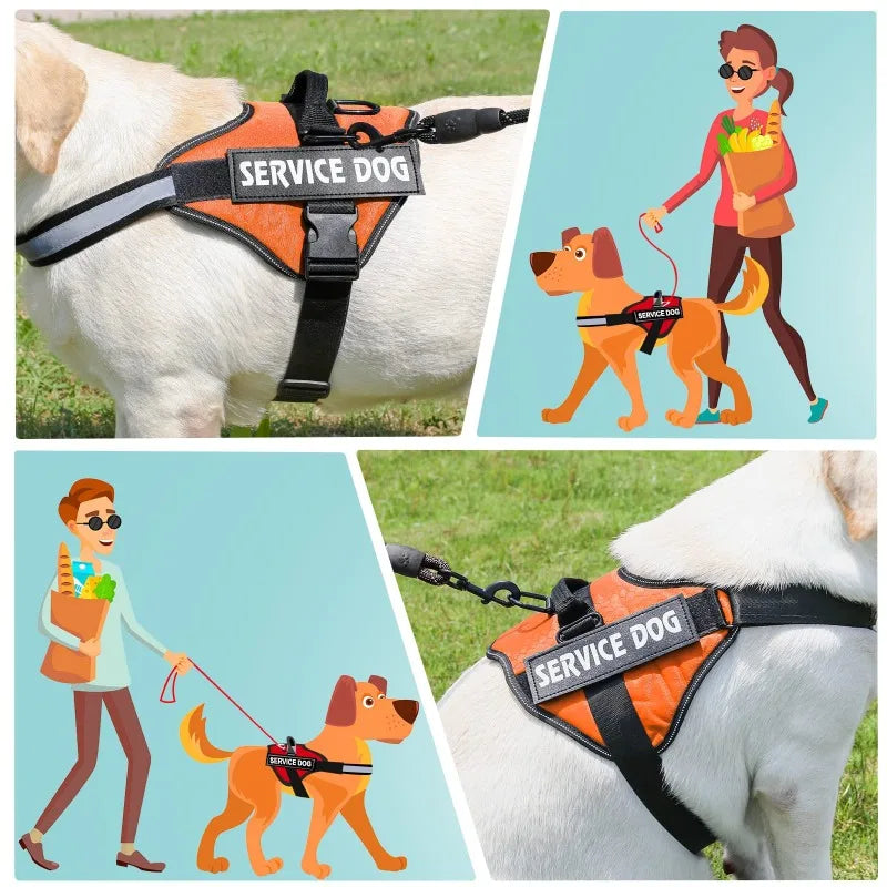 Service Dog Harness