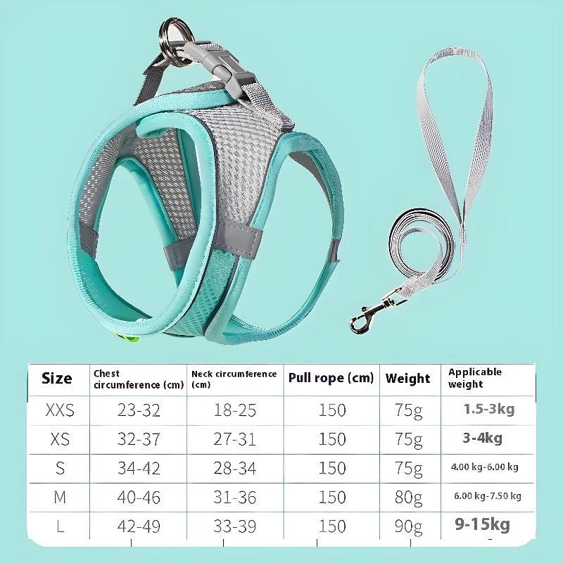 Harness Leash Set