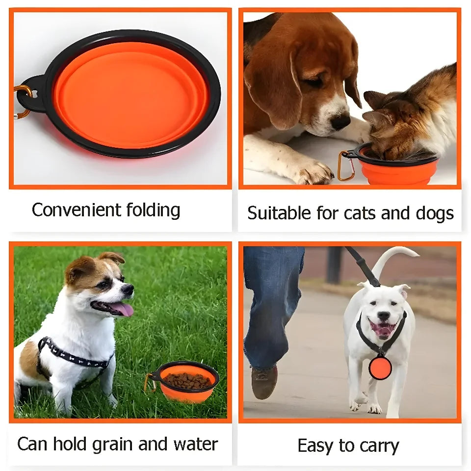 Silicone Collapsible Bowl