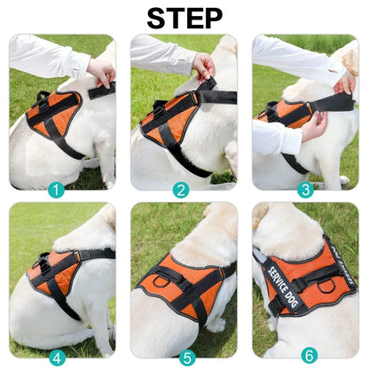 Service Dog Harness