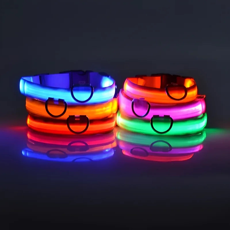 Luminous dog collar with LED light