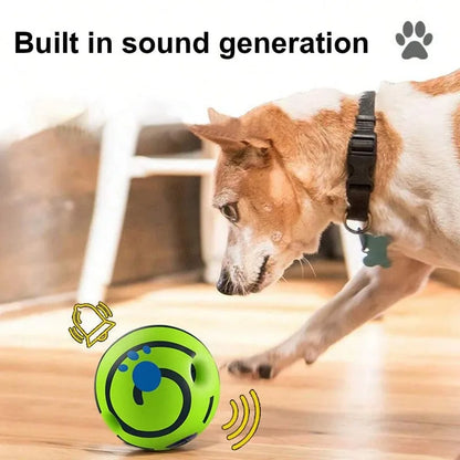 Dog sound ball