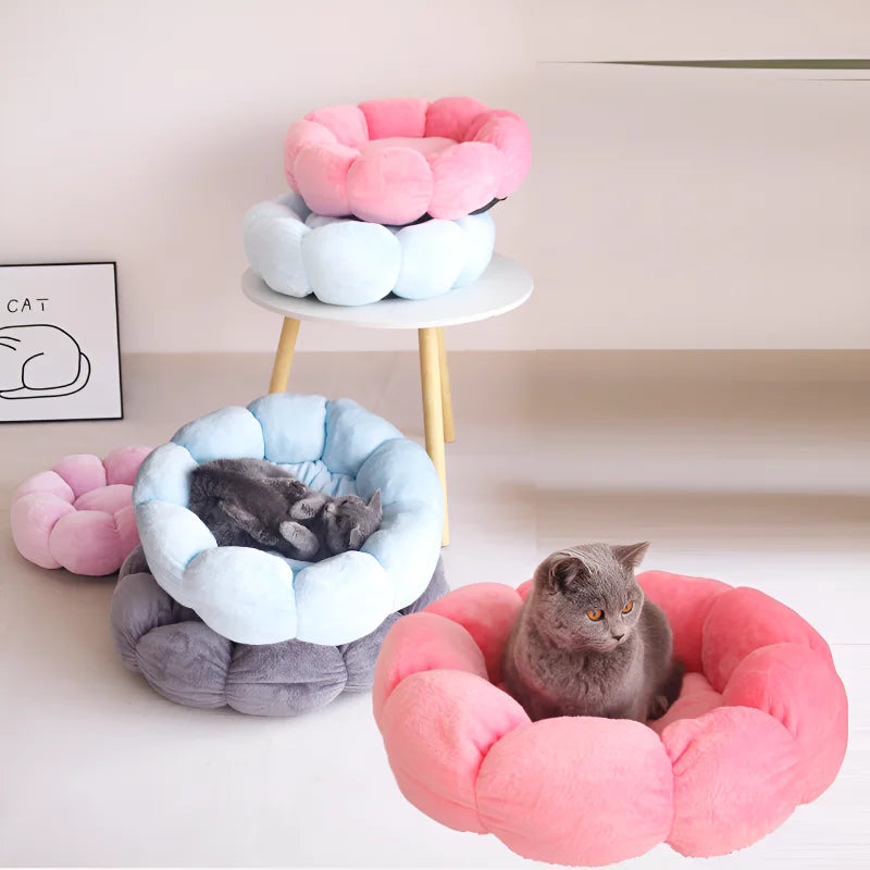 Cat Bed Petal Shaped