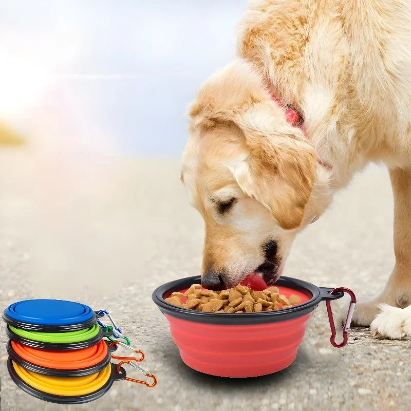 Silicone Collapsible Bowl