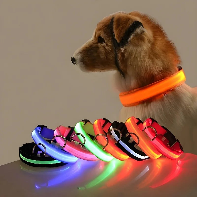 Luminous dog collar with LED light